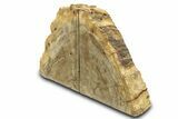 Petrified Wood (Tropical Hardwood) Bookends - Indonesia #275602-1